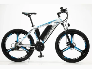 Xe đạp trợ pin BEL-006