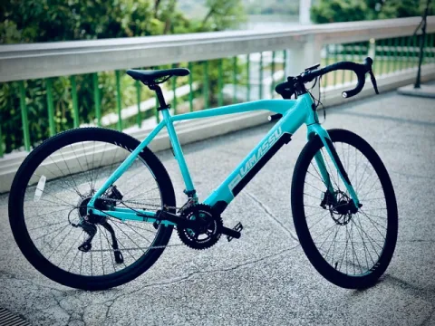 Xe đạp trợ pin YX22A