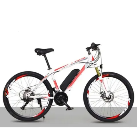 Xe đạp trợ pin BEL-012