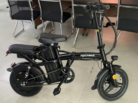 xe đạp điện trợ lực