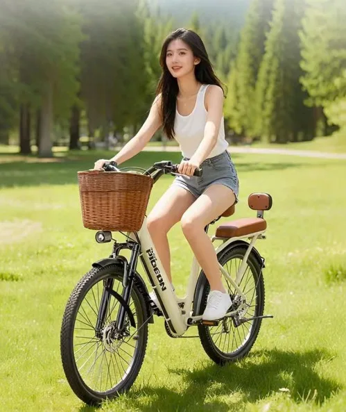 Xe đạp điện trợ lực