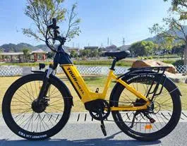 xe đạp điện trợ lực